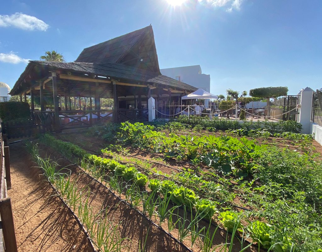 Playaballena Restaurante Naos Costaballena con su huerto ecológico