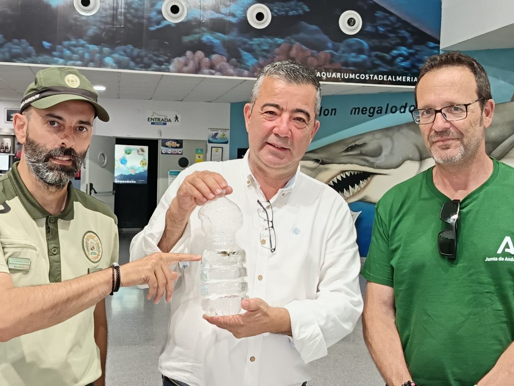 Aquarium Costa de Almería acoge a un caballito de mar rescatado de la playa de San Miguel - Senator Hotels & Resorts