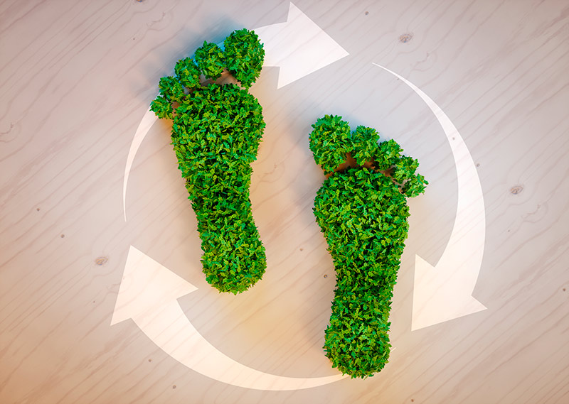 Senator Hotels &amp; Resorts recibe el sello de su huella de carbono para combatir el cambio clim&aacute;tico - Senator Hotels &amp; Resorts